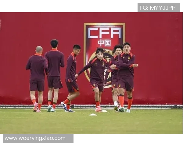 世界杯预选赛社媒发声回应争议事件